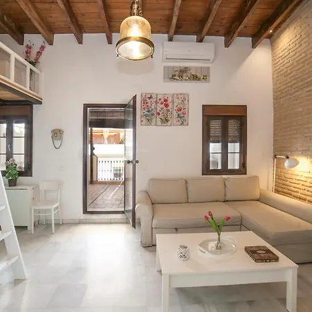 Alohamundi Castilla Ii Sevilla